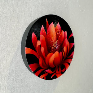 Night Bloom